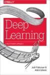 DEEP LEARNING. A PRACTITIONERS APPROACH