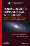 FUNDAMENTALS OF COMPUTATIONAL INTELLIGENCE: NEURAL NETWORKS, FUZZY SYSTEMS