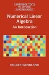 NUMERICAL LINEAR ALGEBRA. AN INTRODUCTION