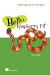 HELLO RASPBERRY PI!