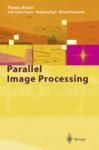 PARALLEL IMAGE PROCESSING